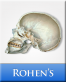Icon: Rohen's Photographic Anatomy Flash Cards (ModalityBody)